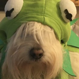 Nellie-cutest