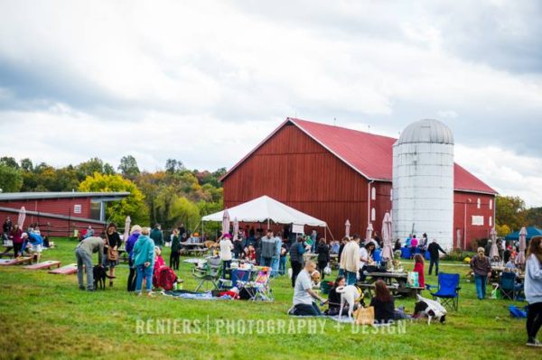 Sugarloaf Mountain Vineyard