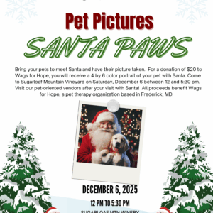 Santa Paws - 2025