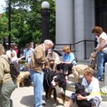 2006 crowd1lg