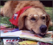 readdog